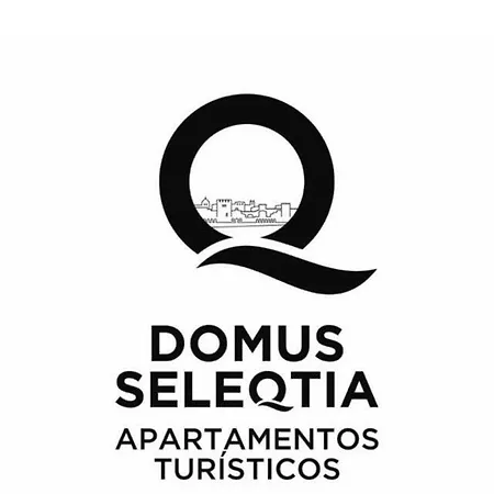Domus Seleqtia Plaza De Santiago * Caces