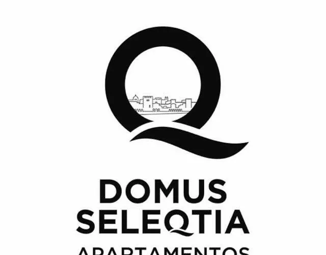 Domus Seleqtia Plaza De Santiago * Caces